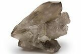 Natural Smoky Quartz Crystal Cluster - Brazil #231286-1